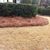 Davids Pine Straw's profile image