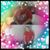 Kristi Cobb's profile image