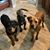 Tracy Curato Prather's profile image