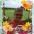 Shirley Hayden's profile image