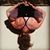 Erica McHugh's profile image