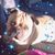 Doreen Eschete's profile image