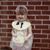 Frankie LaMoure Finegan's profile image