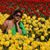Lavanya Sudheer's profile image