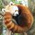 Andrea Lahti's profile image