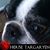 Sheri Hemphill's profile image