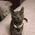 Dawn Venzke's profile image