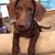 John Strubbe's profile image