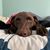 Jacqulyn Jawor's profile image