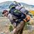 Rob Herrmann's profile image
