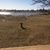 Wayne Widman's profile image