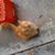 Kim Nichols Monahan's profile image