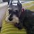 Glenda Fuller Crowder's profile image