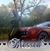 Pam Aiken-Legare's profile image