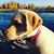 Mark Laskey's profile image