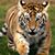 Debra Crisp's profile image