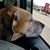 Tammy Crum's profile image