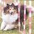 Trudy Kerr's profile image