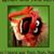 Sandy Hill's profile image