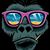 Moses Kevin Ayala-Gerena's profile image