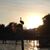 Sharon Anderson's profile image