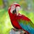 Kim Parrott's profile image