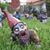 Cynthia D'Ambrosio's profile image