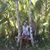 Tamara Russell's profile image