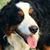 Julie Renee' Meadows-Piner's profile image