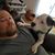 Jason Chapman's profile image
