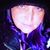 Kristi Kaye Speaks's profile image