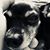 Christie Louise Peterson's profile image