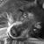 Andrea Mast's profile image