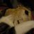 Paula Shelley's profile image