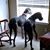 Richard Dodson's profile image