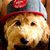 Rj Laffins's profile image