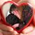 Leslie Barr's profile image