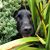 Anna Sapte's profile image