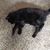 Norma Thompson Wallace's profile image
