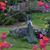 Ingrid Powell's profile image