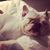 Cari Nate Steinbrook's profile image