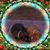 Cynthia Kennedy's profile image