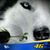 Chris Nava's profile image
