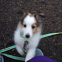 Kara Moseley's profile image