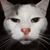 Kelly Taylor's profile image