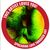 Brice Norlin's profile image
