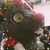 Kuro Okami's profile image
