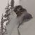 Cy Barbaro's profile image