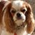 Nancy Davison Lee's profile image