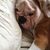 Jennifer Michael Ostrowski's profile image